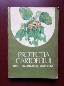 Protectia cartofului. Boli, daunatori, buruieni