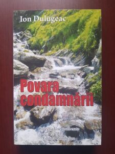 Ion Dulugeac - Povara condamnarii