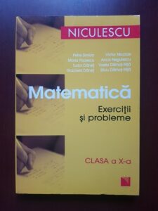 Petre Simion, Victor Nicolae - Matematica. Exercitii si probleme. Clasa a X-a (2009)