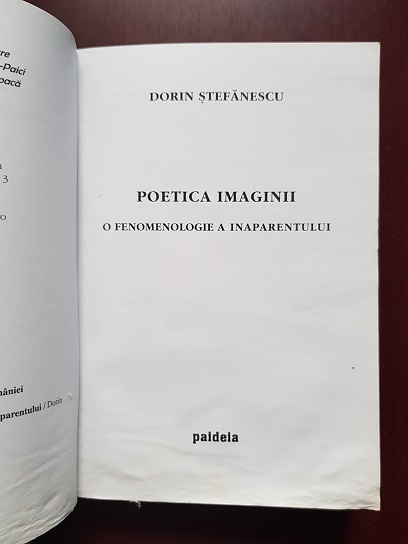 Dorin Stefanescu - Poetica imaginii. O fenomenologie a inaparentului (usor uzata) - imagine 2