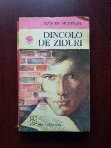 Francisc Munteanu - Dincolo de ziduri