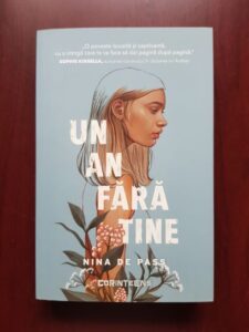 Nina de Pass - Un an fara tine