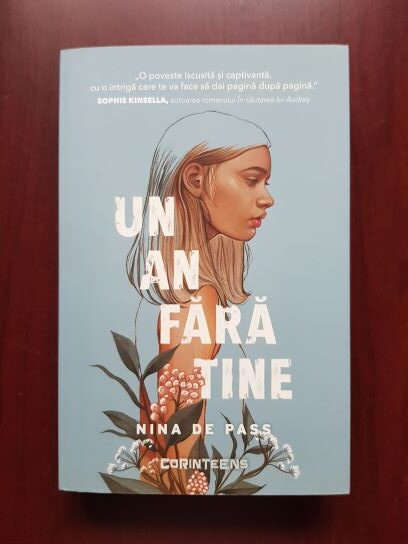 Nina de Pass - Un an fara tine