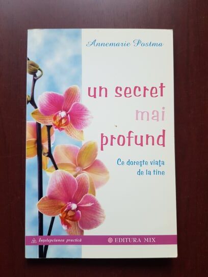 Annemarie Postma - Un secret mai profund. Ce doreste viata de la tine