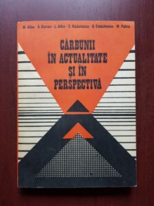 Marius Albu, A. Guran - Carbuni si actualitate si in perspectiva