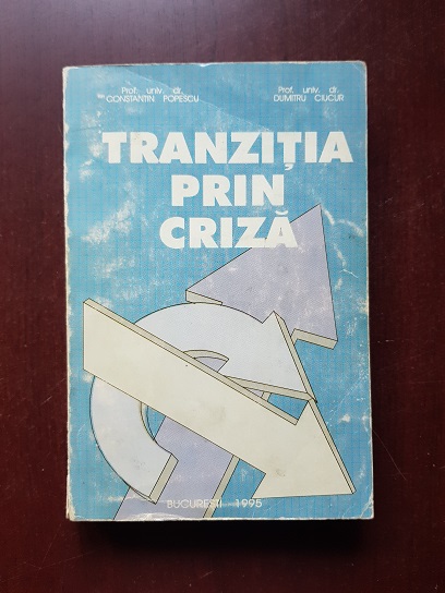 Constantin Popescu - Tranzitia prin criza