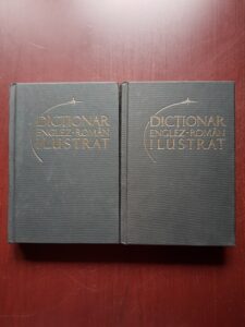 Irina Panovf - Dictionar englez-roman ilustrat 2 volume (2011, editie cartonata)
