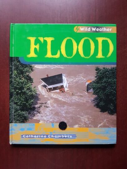 Catherine Chambers - Wild Weather. Flood