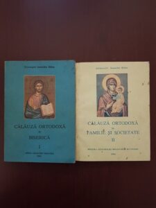 Ioanichie Balan - Calauza ortodoxa in biserica, familie si societate 2 volume