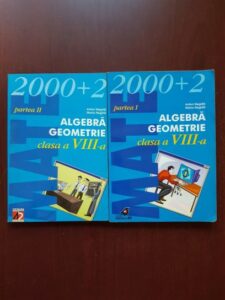 Anton Negrila, Maria Negrila - Algebra, geometrie. Clasa a VIII-a 2 volume