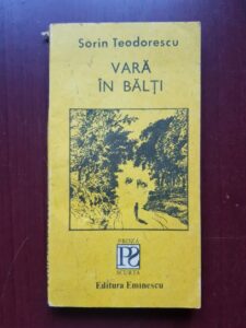 Sorin Teodorescu - Vara in balti