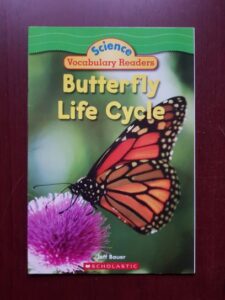 Jeff Bauer - Butterfly life Cycle