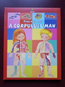 Renzo Barsotti - Prima mea carte a corpului uman