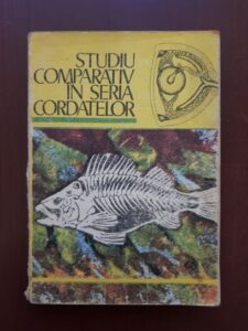 Benchea Elena, Ecaterina Constantinescu - Studiu comparativ in seria cordatelor