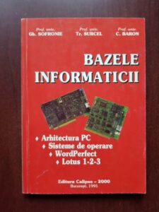 Gheorghe Sofronie, Tr. Surcel - Bazele informaticii
