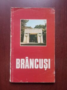 Dan Grigorescu - Brancusi