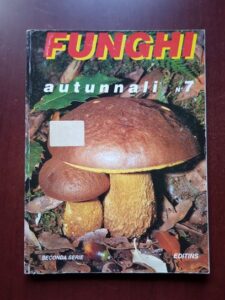 Funghi autunnali, nr. 7