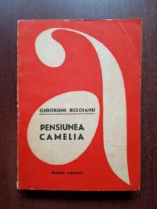 Gheorghe Buzoianu - Pensiunea Camelia