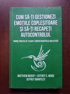 Matthew McKay, Jeffrey C. Wood - Cum sa-ti gestionezi emotiile coplesitoare si sa-ti recapeti autocontrolul (usor uzata)