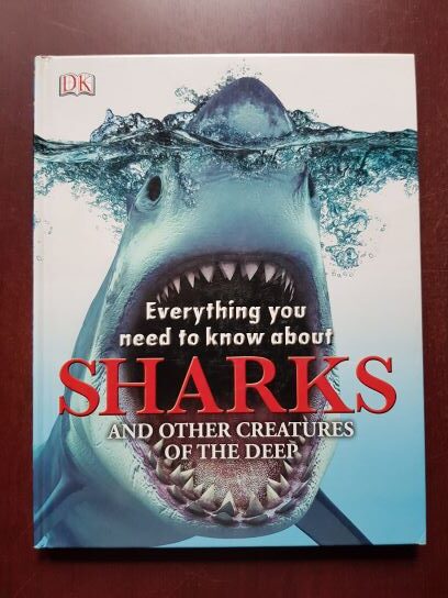 Everything you need to know about sharks and other creatures of the deep