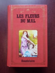 Charles Baudelaire - Les fleurs du mal. Le Spleen de Paris