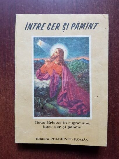 Teoclit Dionisiatul - Intre cer si pamant. Monahismul ahioritic (Sfantul Munte Athos) 1991