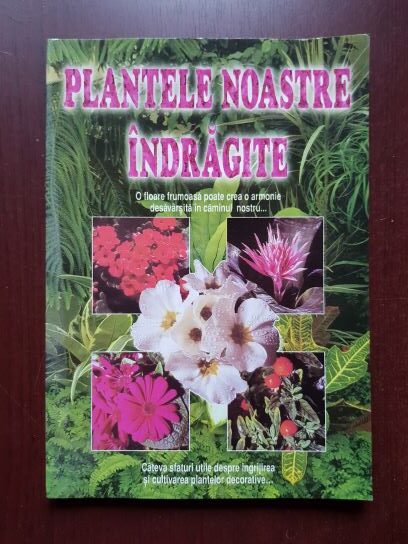 Plantele noastre indragite. O floare frumoasa poate crea o armonie desavarsita in caminul nostru...