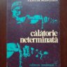 Yehudi Menuhin - Calatorie neterminata