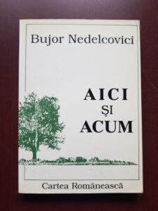 Bujor Nedelcovici - Aici si acum