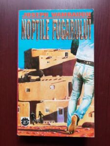 Joseph Wambaugh - Noptile fugarului