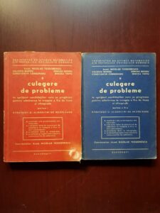 Nicolae Teodorescu - Culegere de probleme. Strategii si algoritmi de rezolvare 2 volume (1984, volumul 1 usor uzat)
