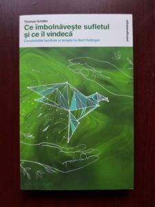 Thomas Schafer - Ce imbolnaveste sufletul si ce il vindeca