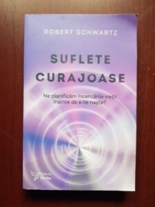Robert Schwartz - Suflete curajoase. Ne planificam incercarile vietii inainte de a ne naste? (2019)
